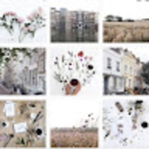 Meet your Posher, Scarlett